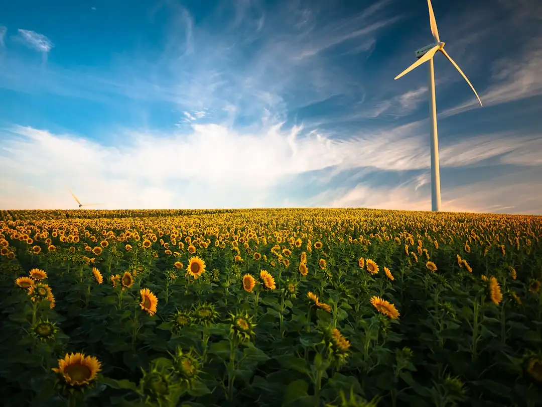 Stratégies pour intégrer efficacement le biofioul et améliorer les performances énergétiques